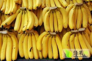 香蕉国产精品,品味家乡的甜蜜诱惑