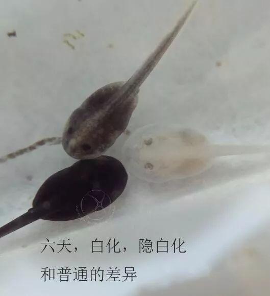 国产爆料 第3页